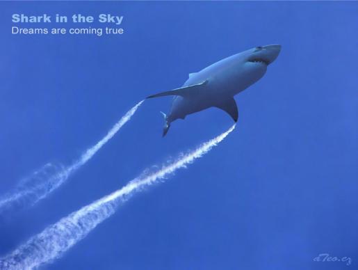 Shark in the Sky