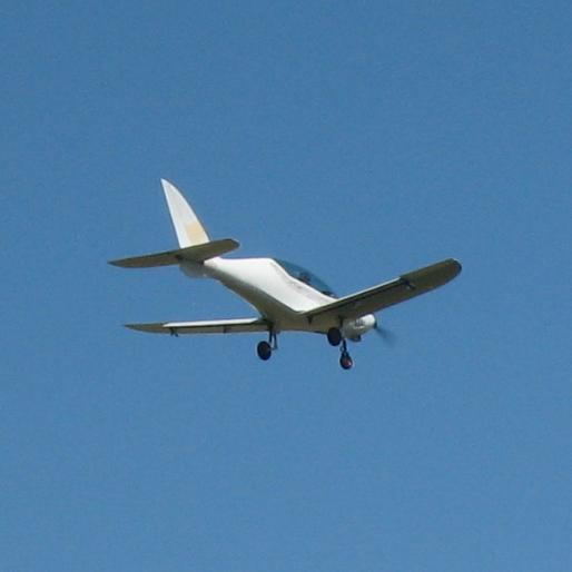 Shark in flight