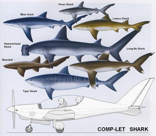 Shark in National Geographic