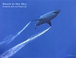 Shark in the Sky